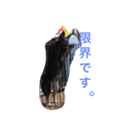 ハムとアンディ（個別スタンプ：6）