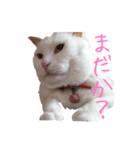 ミータソ（個別スタンプ：2）