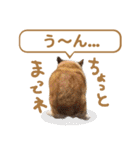 コーギー犬ろん（個別スタンプ：27）