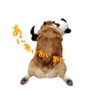 コーギー犬ろん（個別スタンプ：34）