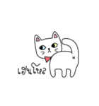 Cat is all around（個別スタンプ：1）