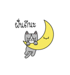 Cat is all around（個別スタンプ：5）