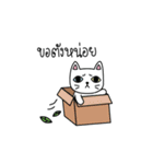 Cat is all around（個別スタンプ：6）