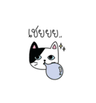 Cat is all around（個別スタンプ：13）