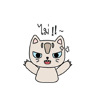 Cat is all around（個別スタンプ：14）