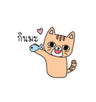 Cat is all around（個別スタンプ：17）