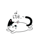 Cat is all around（個別スタンプ：19）