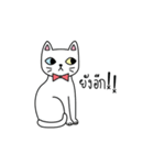 Cat is all around（個別スタンプ：21）