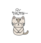 Cat is all around（個別スタンプ：29）