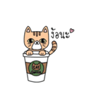 Cat is all around（個別スタンプ：30）