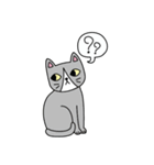 Cat is all around（個別スタンプ：36）