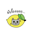 Cat is all around（個別スタンプ：37）