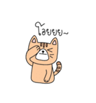 Cat is all around（個別スタンプ：38）