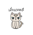 Cat is all around（個別スタンプ：39）