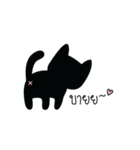 Cat is all around（個別スタンプ：40）