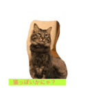 ボコ(猫)の日常(*≧艸≦)（個別スタンプ：6）
