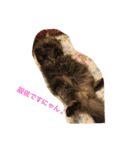 ボコ(猫)の日常(*≧艸≦)（個別スタンプ：22）
