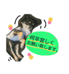こてつ君の日常（個別スタンプ：9）