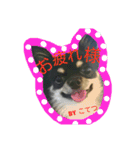こてつ君の日常（個別スタンプ：12）