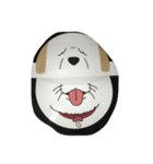 もか（個別スタンプ：3）