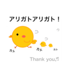 加藤ぴよスタンプ①（個別スタンプ：15）