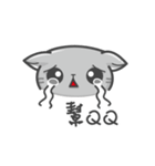 Cookie Cat's funny stickers（個別スタンプ：2）