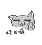 Cookie Cat's funny stickers（個別スタンプ：9）