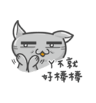 Cookie Cat's funny stickers（個別スタンプ：16）