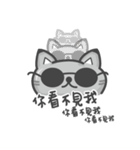 Cookie Cat's funny stickers（個別スタンプ：38）
