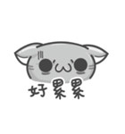 Cookie Cat's funny stickers（個別スタンプ：40）