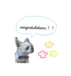 ② ちろるだらけ。英語（個別スタンプ：7）