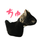 ぺっとたち♡（個別スタンプ：8）