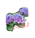 あじさいの声（個別スタンプ：1）