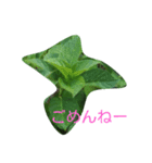 あじさいの声（個別スタンプ：3）