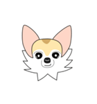 レイちゃん（個別スタンプ：1）