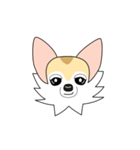 レイちゃん（個別スタンプ：2）
