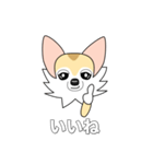 レイちゃん（個別スタンプ：22）