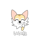 レイちゃん（個別スタンプ：23）