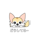 レイちゃん（個別スタンプ：30）