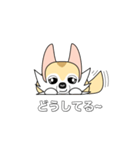 レイちゃん（個別スタンプ：31）