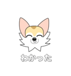 レイちゃん（個別スタンプ：33）