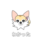 レイちゃん（個別スタンプ：34）