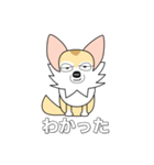 レイちゃん（個別スタンプ：37）