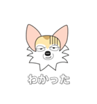 レイちゃん（個別スタンプ：38）