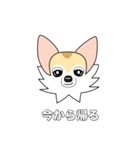 レイちゃん（個別スタンプ：39）