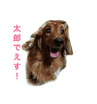 ホロつん1（個別スタンプ：1）