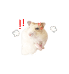 pudding cute hamham（個別スタンプ：6）