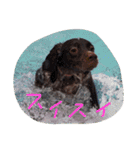 ペコだよ（個別スタンプ：16）