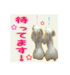 癒しのマルチーズ親子（個別スタンプ：2）