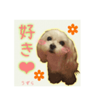 癒しのマルチーズ親子（個別スタンプ：3）
